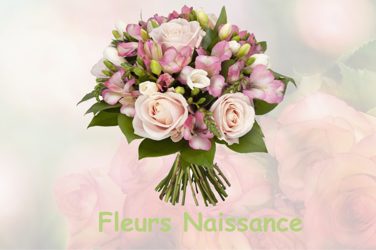 fleurs naissance PARFOURU-SUR-ODON